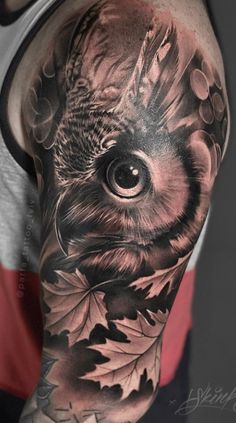 an owl with leaves on his arm