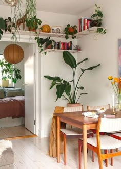 a dining room table with chairs and plants on the shelves above it, in front of a bed