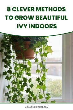 a potted plant sitting on top of a window sill with the words 8 clever ways to grow beautiful ivy indoors