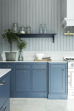 a kitchen with blue cabinets and white counter tops, silver appliances and a potted plant on the stove