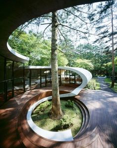 the circular house is surrounded by trees and glass walls, which give it an open feel