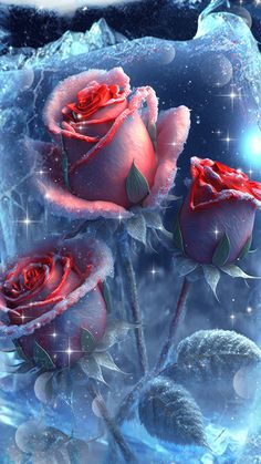 three red roses sitting on top of snow covered ground with stars in the sky behind them