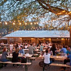 many people are sitting at picnic tables under the trees and lights strung up above them