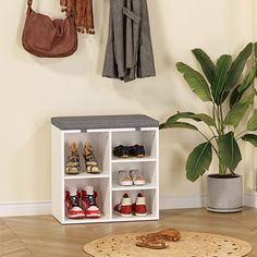 a shoe rack with several pairs of shoes on it next to a potted plant