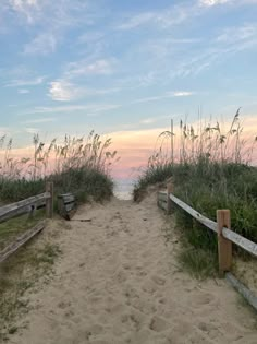 a path leading to the beach with tall grass