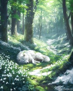 a white wolf laying in the middle of a forest with snowdrops on it