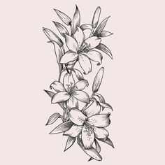 a black and white drawing of flowers