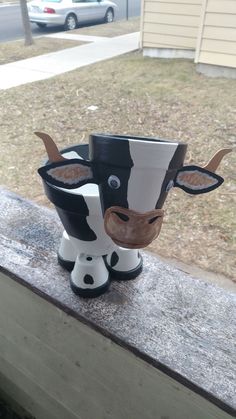 a black and white cow sitting on top of a window sill