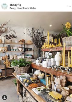 an image of a store with lots of items on the shelves and plants in baskets