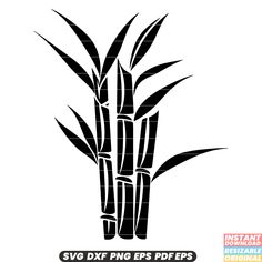 a black and white image of some tall bamboo trees with the words svg dxf