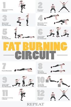 INFOGRAFÍA DE CIRCUITO QUEMAGRASAS 🔥🔥🔥
#HIIT #ejerciciosquemagrasa #rutinaquemagrasa Workouts At Home No Equipment, Hiit Workouts At Home, Writer Motivation, Transformation Du Corps, Hiit Workout Routine, Health Memes, Sixpack Workout, Workouts At Home, Hiit Workouts