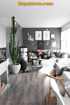 a living room filled with lots of furniture and a cactus in the middle of the room