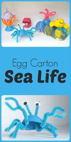 an egg carton sea life book cover