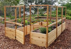 a wooden garden bed with plants growing in the top and bottom sections on each side