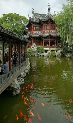 people sitting on a bridge over a pond with goldfish swimming in the water below