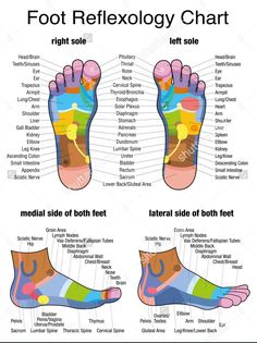 HEALTH benefits Reflexology Foot Chart, Reflexology Chart, Reflexology Massage, Foot Reflexology, Massage Benefits, Sciatic Nerve, Foot Massage, Pressure Points, Reflexology