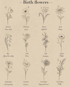 the different types of flowers are shown in black and white