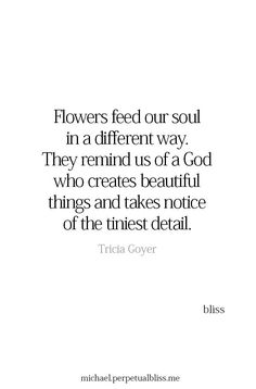 flowers feed our soul in a different way, they remind us of a god who creates beautiful things and takes notice of the finest