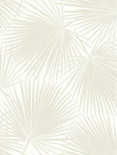 a white wallpaper with palm leaves on it