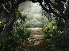 Kate Forest Scenery Backdrop Castle Tree Fantastic Easter/Spring - Katebackdrop Photo Studio Backdrop, Castle Backdrop, Brick Backdrops, Secret Forest, Forest Scenery, Fairytale Photography, Muslin Backdrops, Forest Photos, Foggy Forest