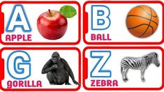 four different types of alphabets with animals, apples, zebra, and an apple