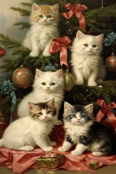 a group of kittens sitting in front of a christmas tree