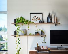 two wooden shelves with plants on them in front of a flat screen tv and computer