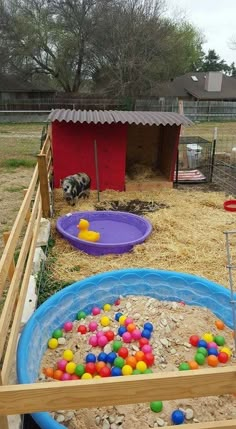 an animal pen with various colored balls in it