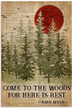 an old book page with trees and the words, and they shall be safe in the wilderness