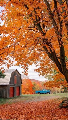 an old barn in the fall with leaves on the ground and a blue truck parked next to it