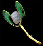 Brooch in the form of mistletoe sprig, the leaves enamelled green, the berry in the form of an amorino head, is carved of moonstone. By Carlo Giuliano, C.1880 Anne Schofield Antiques, Sydney 1880s Women, Moonstone Jewellery, Bush Medicine, Minimalistic Jewelry, Victorian Jewellery, Mistletoe Kiss, Historical Jewellery, Under The Mistletoe, Woodland Christmas