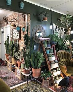 a room filled with lots of potted plants