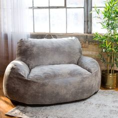 a living room with a round chair and potted plant in the corner, next to a window