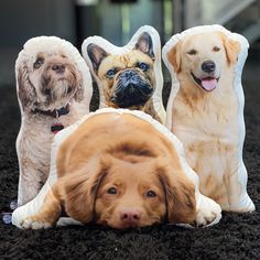 three dogs sitting on the ground with their heads turned to look like they're laying down