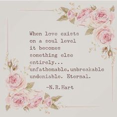 a quote from n r hart that says, when love exits on a soul level it becomes something else entirely unfahomable, unefiable, evenable