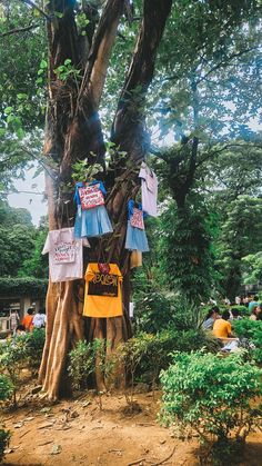 there are many signs hanging from the tree