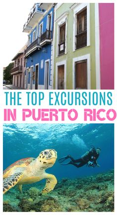 the top excursions in puerto rico, with scuba and sea turtle swimming near them