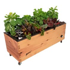 a wooden planter filled with lots of green plants