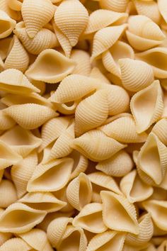 closeup of pasta shells piled on top of each other