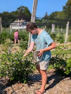 a young man is working in the garden