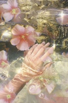 a woman's hand in water with pink flowers