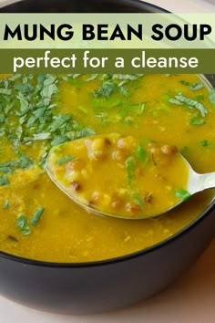 a close up of a bowl of soup with broccoli and beans on it