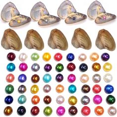 several different types of pearls and seashells on a white background