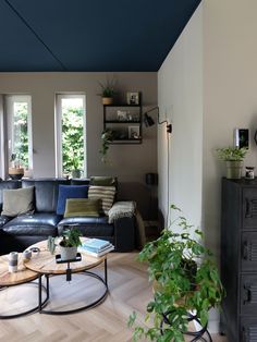 a living room filled with furniture and lots of windows