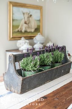 a wooden tray filled with plants on top of a table