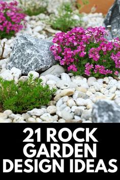 some rocks and flowers with the words 21 rock garden design ideas on it's side