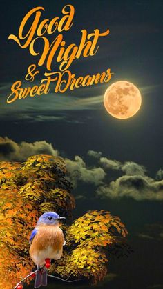 a bird sitting on top of a tree branch in front of a full moon with the words good night and sweet dreams