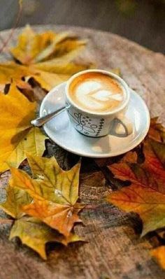 a cup of coffee sitting on top of a wooden table covered in autumn leaf litter