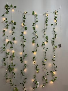 there is a wall with some plants growing on it and lights hanging from the side