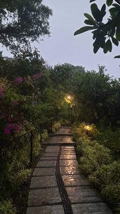 a stone path surrounded by lush green trees and bushes at night with lights shining on the walkway